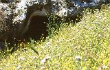 116-Pantalica,necropoli,23 aprile 2000